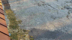 Nástup na běžecké tratě