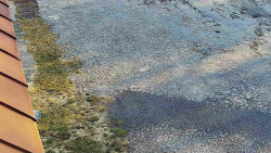 Nástup na běžecké tratě