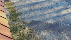 Nástup na běžecké tratě