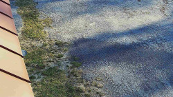 Nástup na běžecké tratě