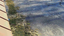 Nástup na běžecké tratě