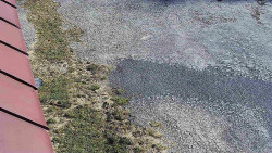 Nástup na běžecké tratě