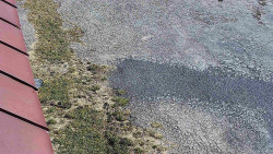 Nástup na běžecké tratě