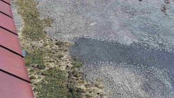 Nástup na běžecké tratě