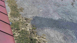 Nástup na běžecké tratě