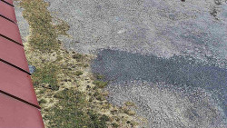 Nástup na běžecké tratě