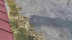 Nástup na běžecké tratě