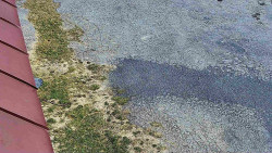 Nástup na běžecké tratě