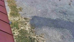 Nástup na běžecké tratě