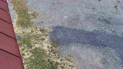 Nástup na běžecké tratě