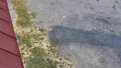 Nástup na běžecké tratě