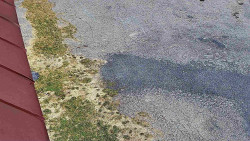 Nástup na běžecké tratě