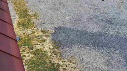 Nástup na běžecké tratě