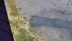 Nástup na běžecké tratě