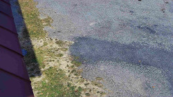 Nástup na běžecké tratě