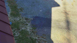 Nástup na běžecké tratě