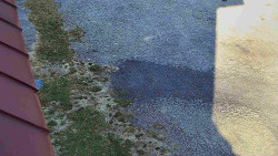 Nástup na běžecké tratě