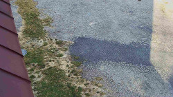 Nástup na běžecké tratě