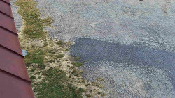 Nástup na běžecké tratě