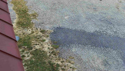 Nástup na běžecké tratě