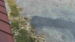 Nástup na běžecké tratě