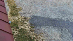 Nástup na běžecké tratě