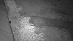 Nástup na běžecké tratě