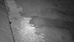 Nástup na běžecké tratě