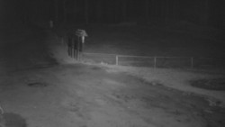 Nástup na běžecké tratě