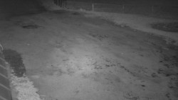 Nástup na běžecké tratě