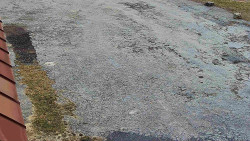 Nástup na běžecké tratě