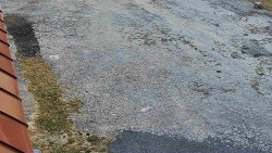 Nástup na běžecké tratě