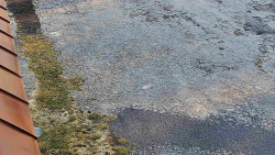 Nástup na běžecké tratě