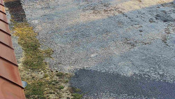 Nástup na běžecké tratě