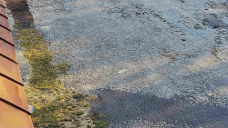 Nástup na běžecké tratě