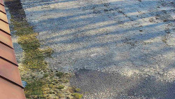 Nástup na běžecké tratě