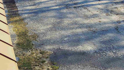 Nástup na běžecké tratě