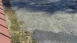 Nástup na běžecké tratě