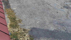 Nástup na běžecké tratě