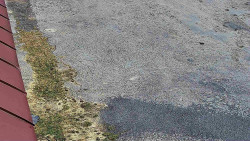 Nástup na běžecké tratě