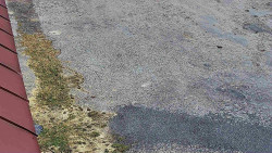 Nástup na běžecké tratě