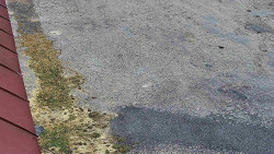 Nástup na běžecké tratě