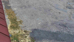 Nástup na běžecké tratě