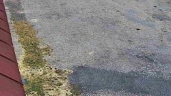 Nástup na běžecké tratě