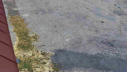 Nástup na běžecké tratě