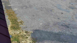 Nástup na běžecké tratě