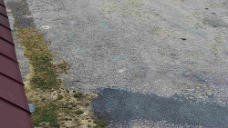 Nástup na běžecké tratě