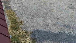 Nástup na běžecké tratě