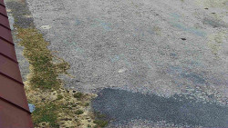 Nástup na běžecké tratě