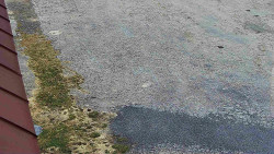 Nástup na běžecké tratě